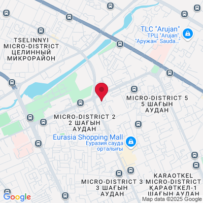 Google Maps static image
